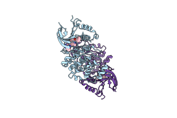 4N4S image