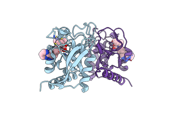 4N4V image