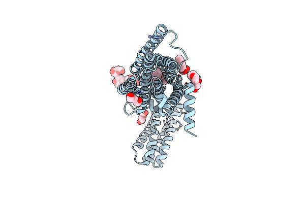 4N4W image