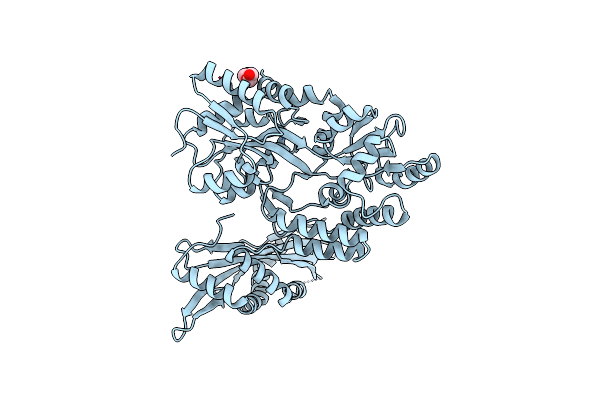 4N4X image
