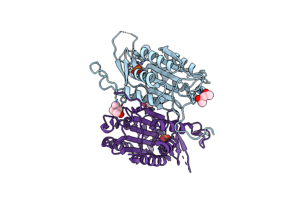 4N5D image