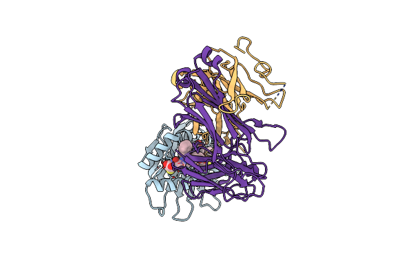 4N5E image