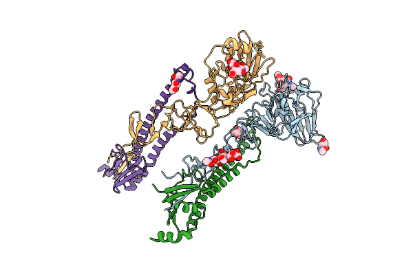 4N5K image