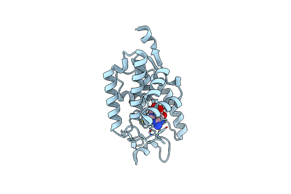 4N67 image