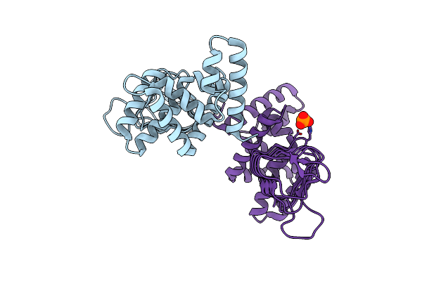4N6A image
