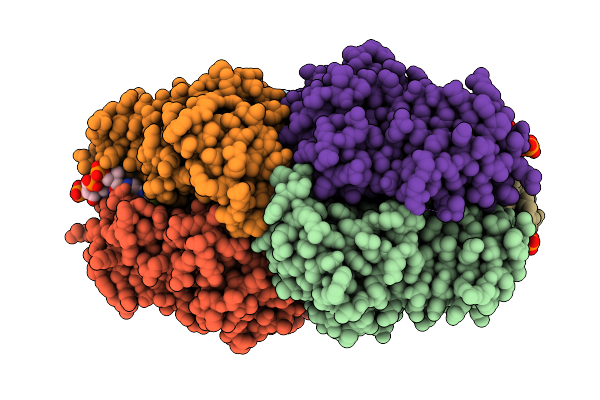 4N6B image