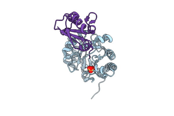 4N6E image