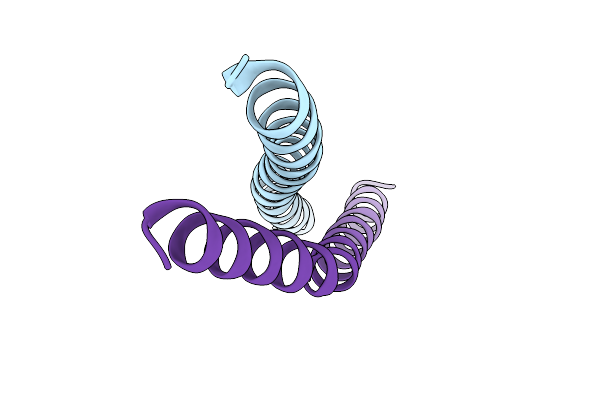 4N6J image