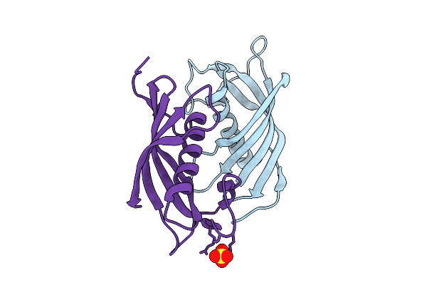 4N6M image