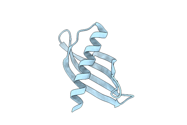 4N6T image