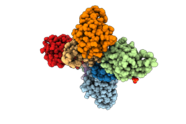 4N6V image