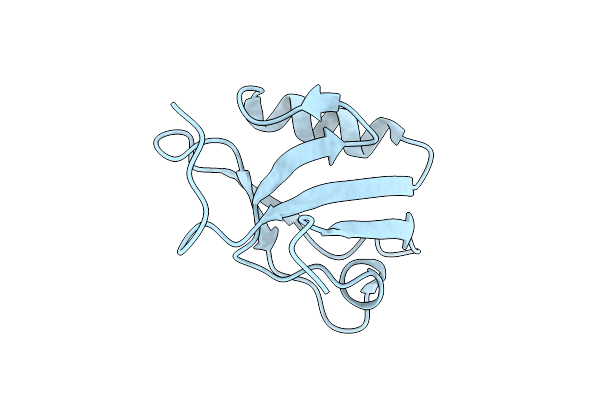 4N6X image