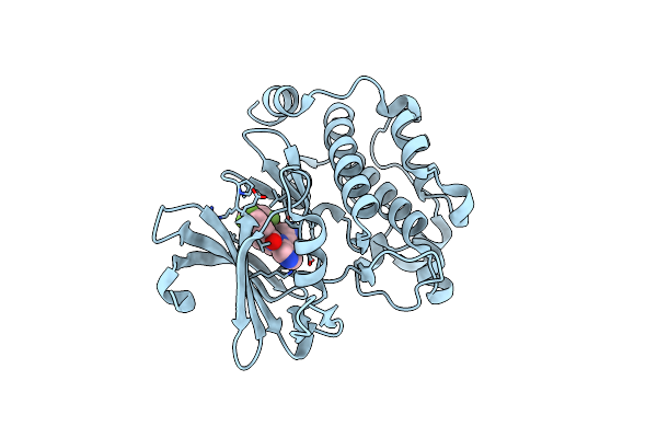 4N70 image