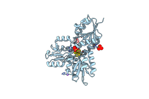 4N7B image