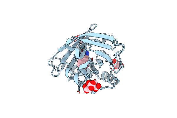 4N7C image