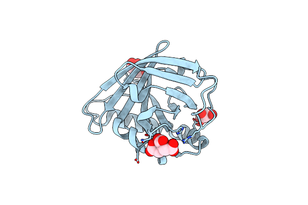 4N7D image