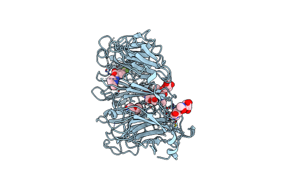 4N7E image