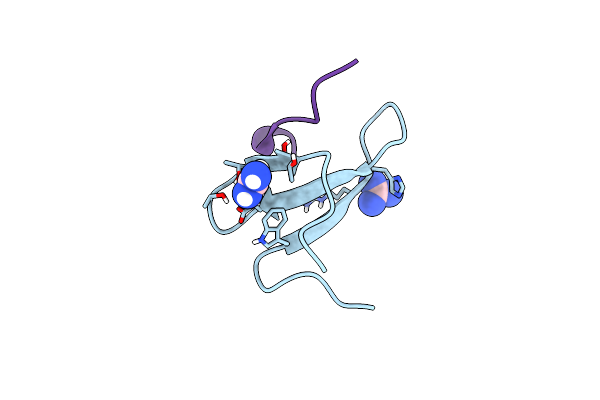 4N7H image