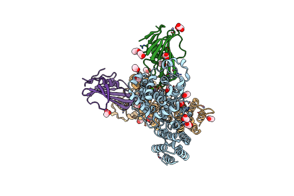 4N7S image