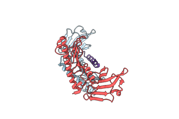 4N7V image