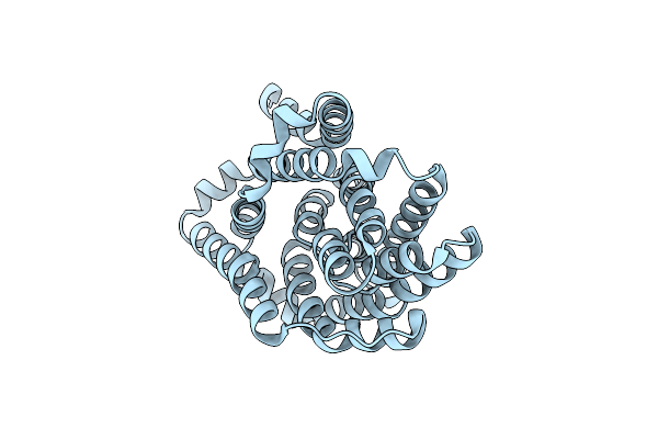 4N7X image