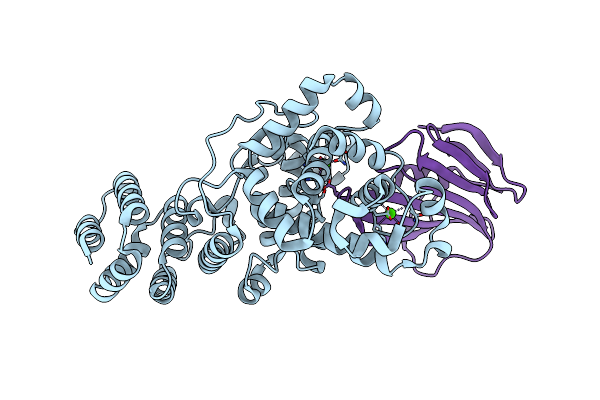 4N80 image