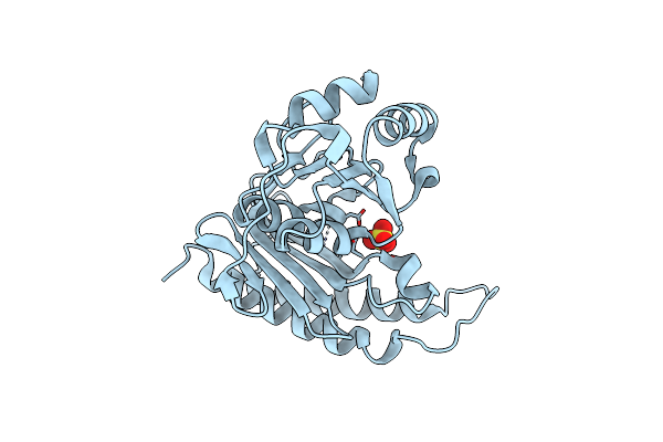 4N81 image
