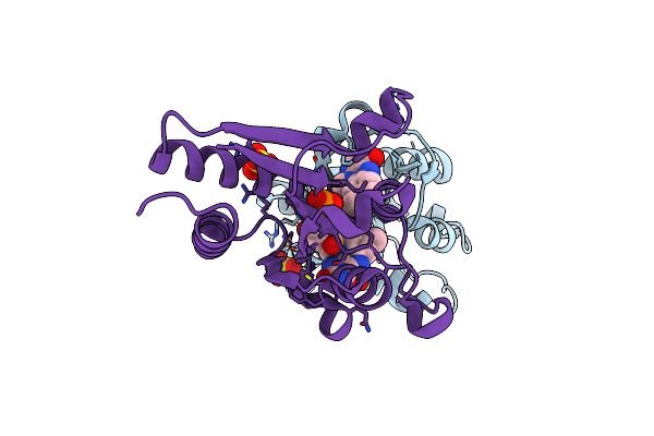 4N82 image