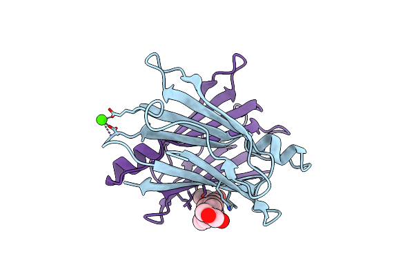 4N86 image