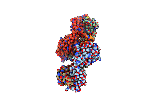 4N8C image