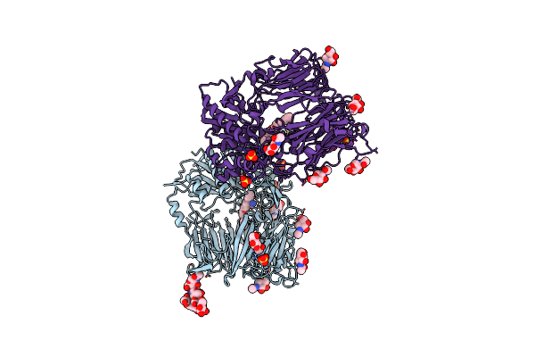 4N8D image