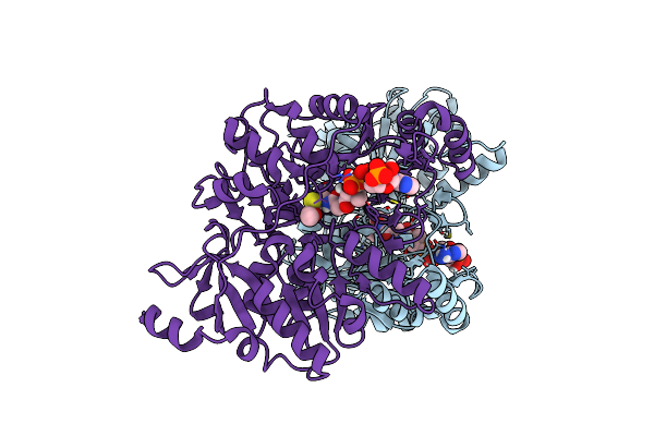 4N8I image