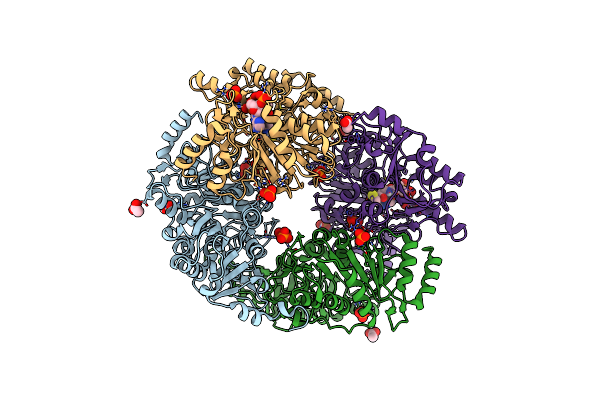 4N8J image