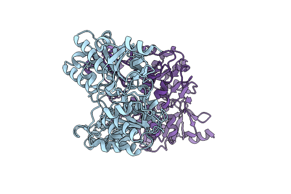 4N8K image