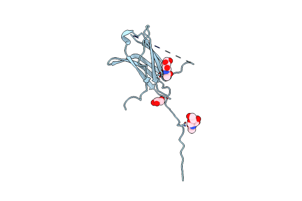 4N8P image