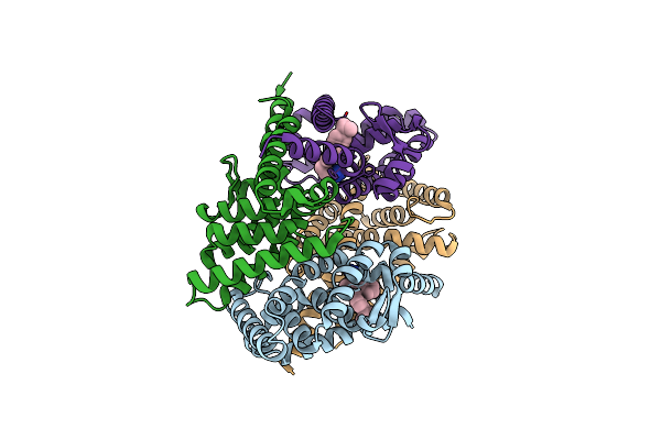 4N8R image