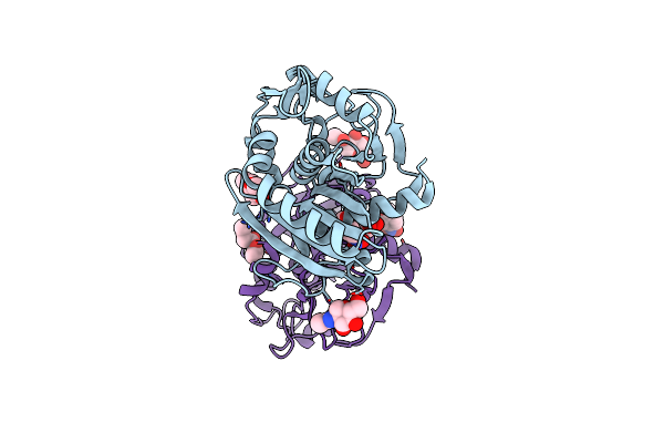 4N8S image