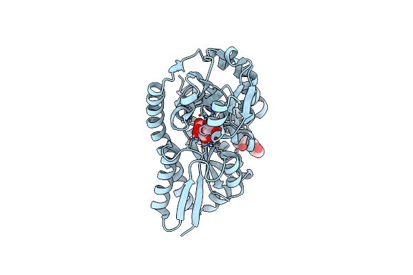 4N91 image