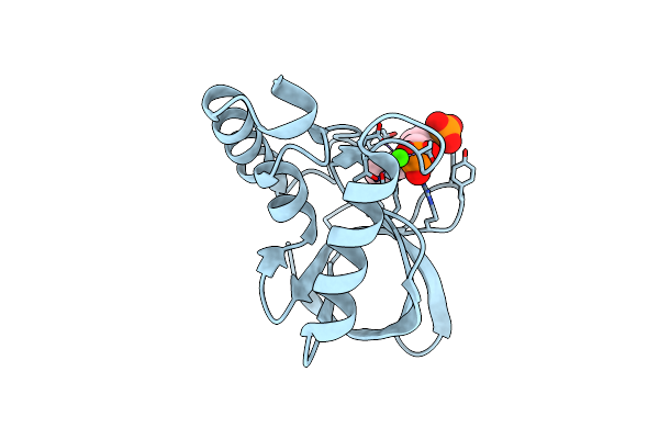 4N9P image