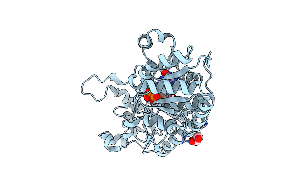 4N9W image