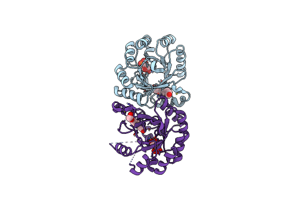 4NAE image