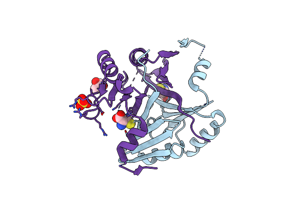4NB0 image