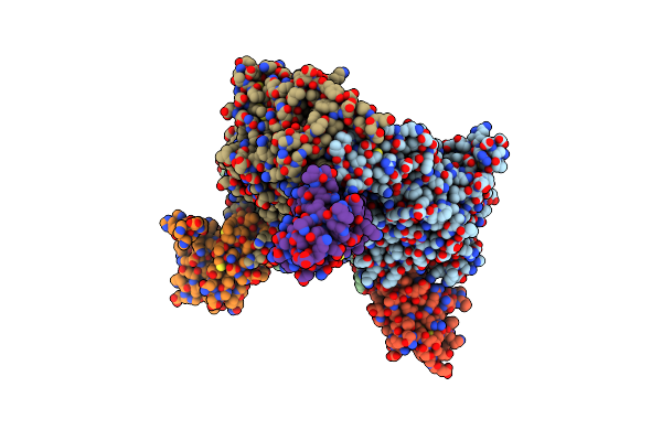 4NBB image