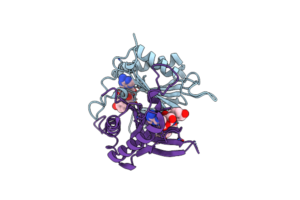 4NBI image