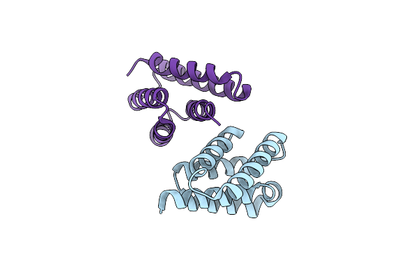 4NBO image