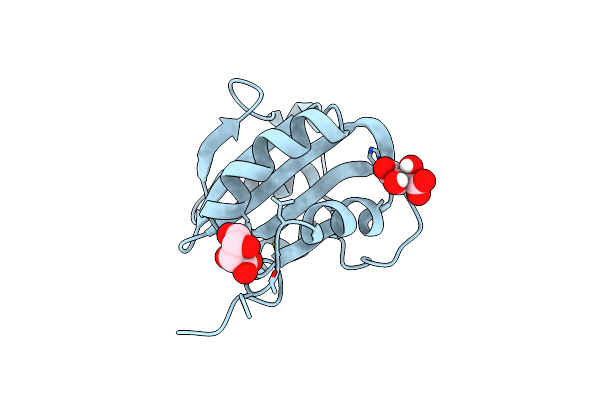 4NBP image