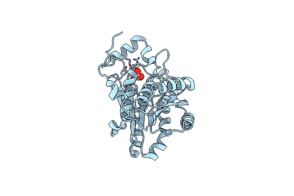 4NBR image