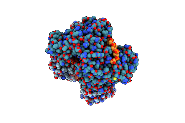 4NCA image
