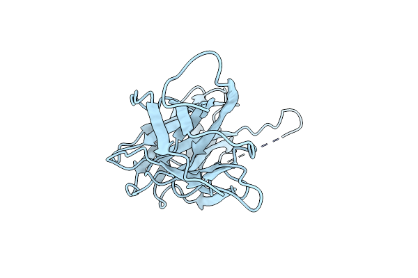 4NCD image