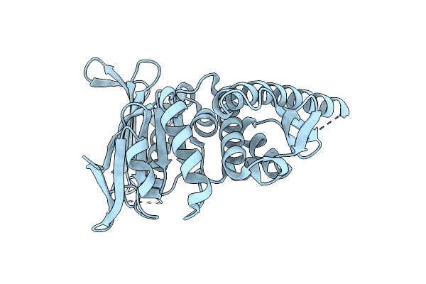 4NCI image
